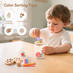 Shape & Color Sorting Toy for Early Learning