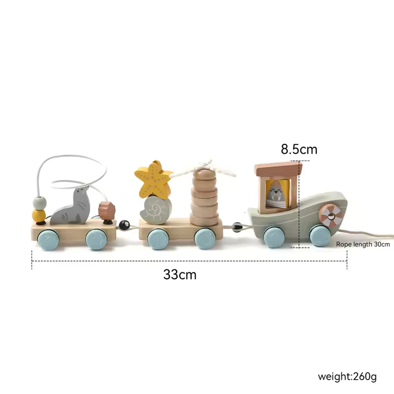 Wooden Pull String Toy for Sensory Exploration